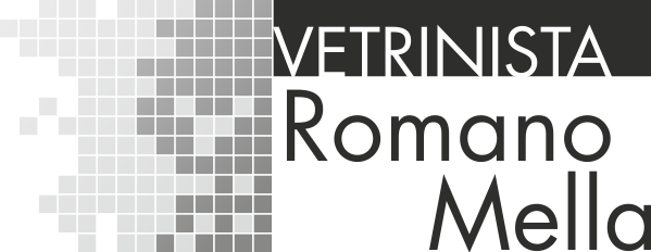 VETRINISTA ROMANO MELLA